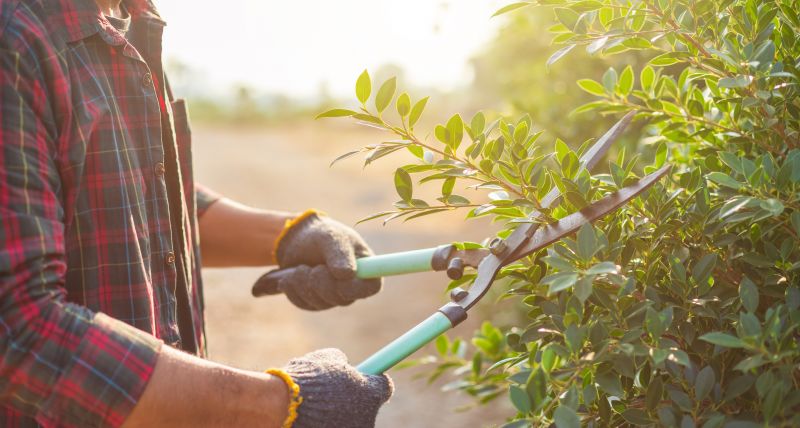 Trimming Tools in Use
