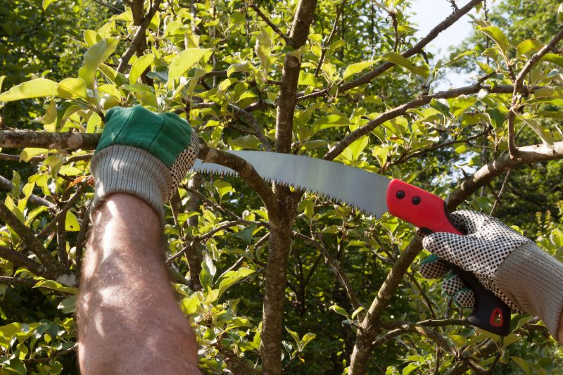 Proper pruning techniques