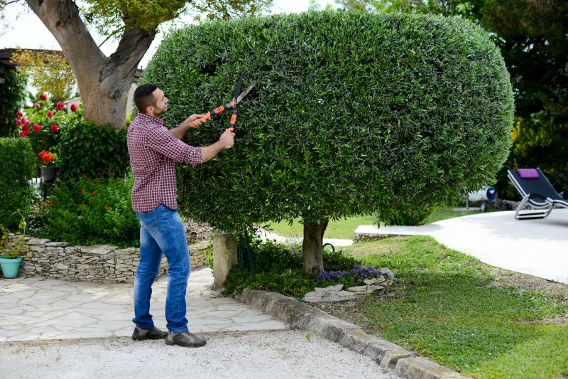 Customized shrub care plans