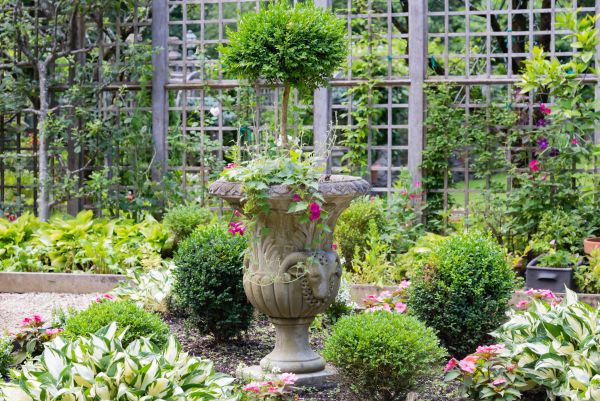 Cost of Topiary Pruning in Flagstaff
