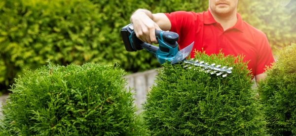 Cost of Hedge Shaping Service in Flagstaff